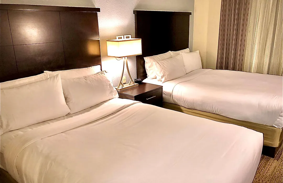 Sonesta Es Suites San Francisco Airport San Bruno-1