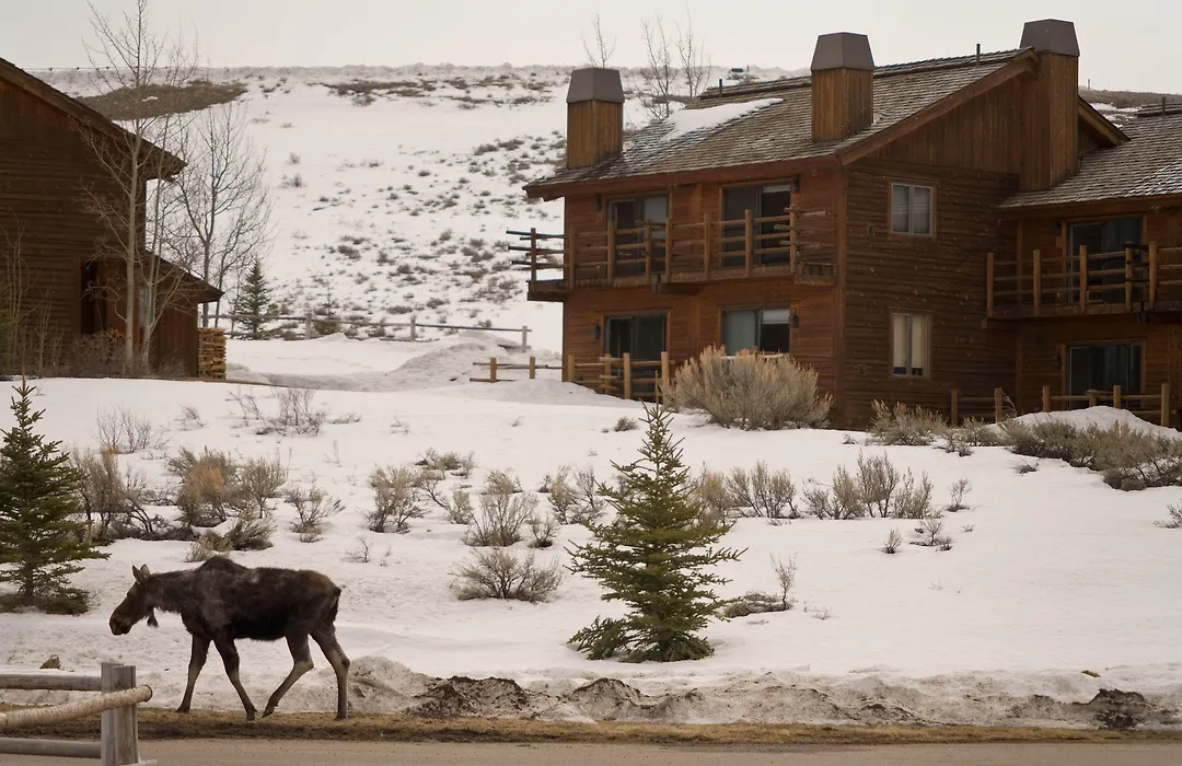 Spring Creek Ranch-1