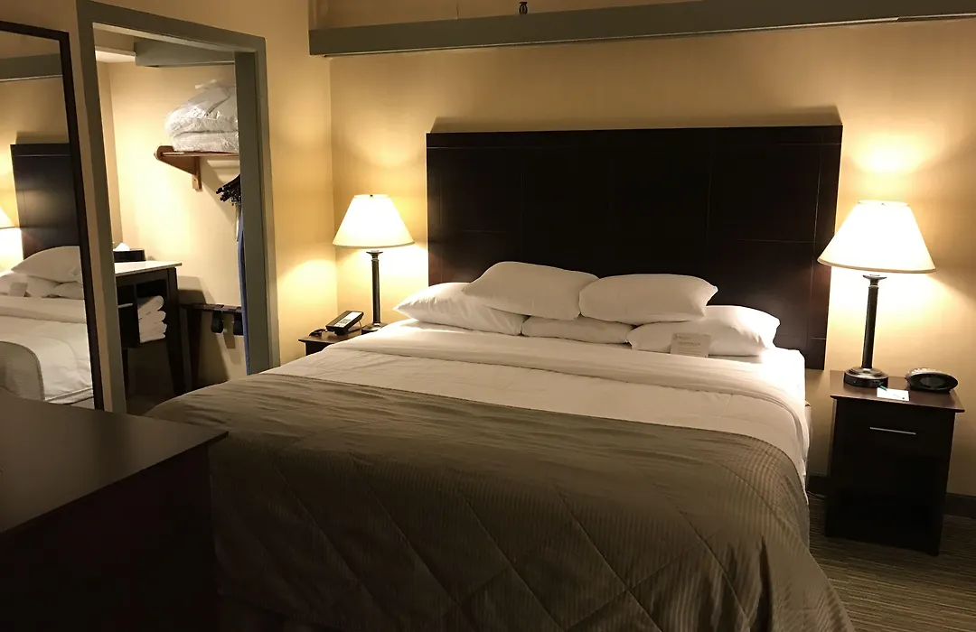 Wyndham Garden Ann Arbor-1