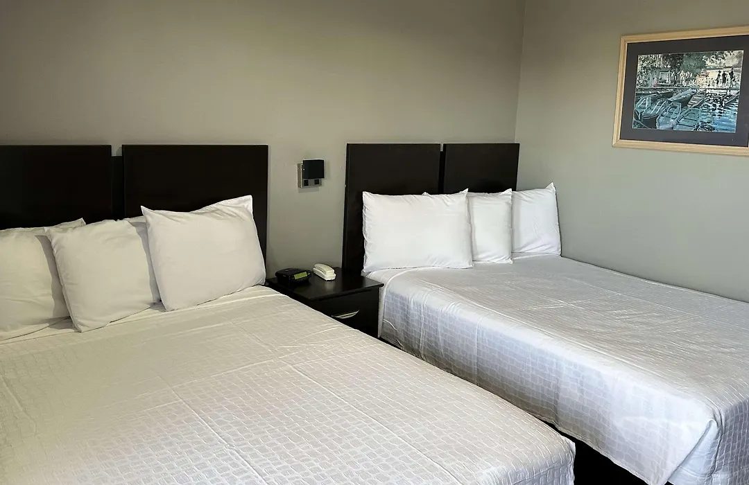 Americas Best Value Inn And Suites Groves-1