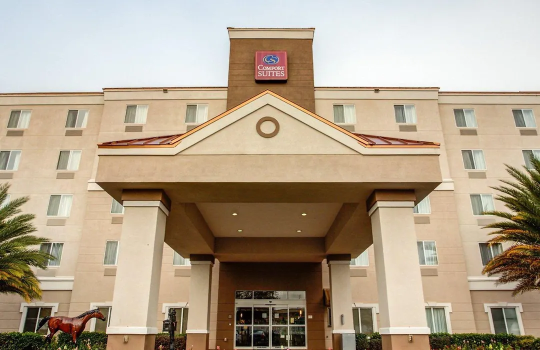 Comfort Suites Ocala North-1