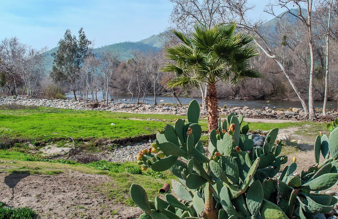 Sequoia Riverfront Cabins-1