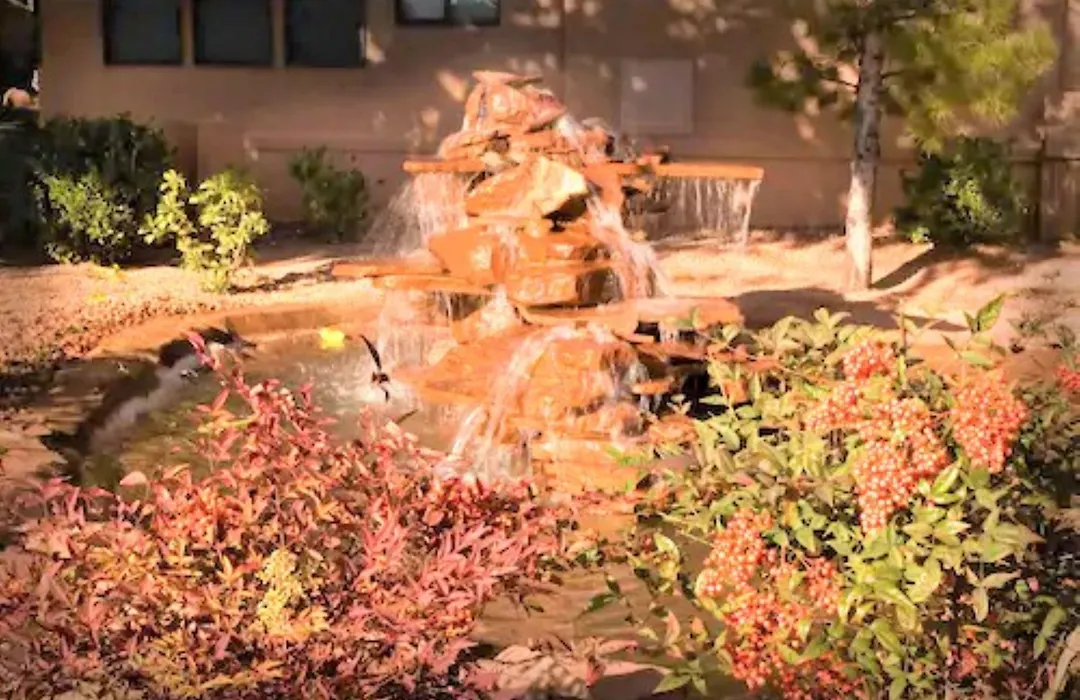 Sedona Pines Resort-1