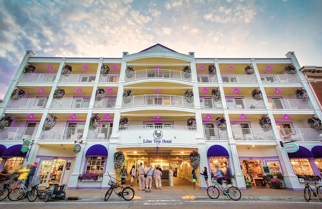 Lilac Tree Suites-1