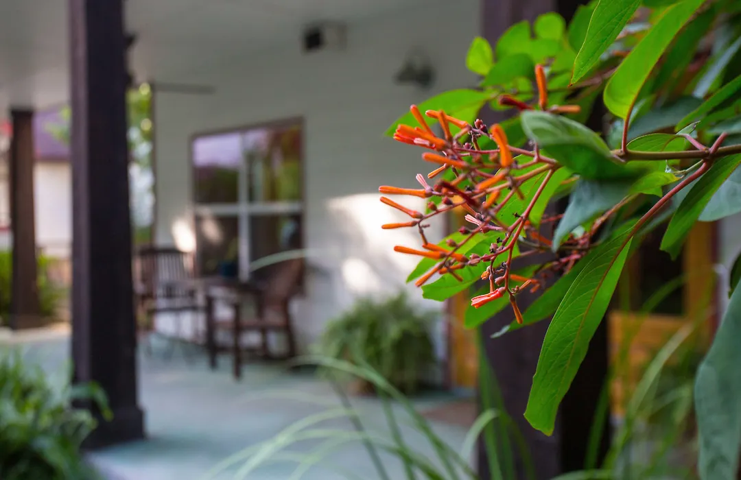 Brava House B&B-1