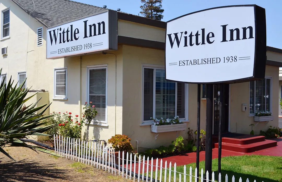 Wittle Motel-1