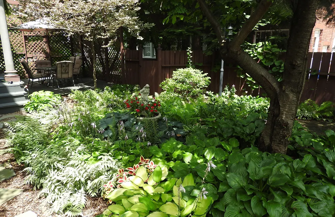 Champaign Garden Inn-1