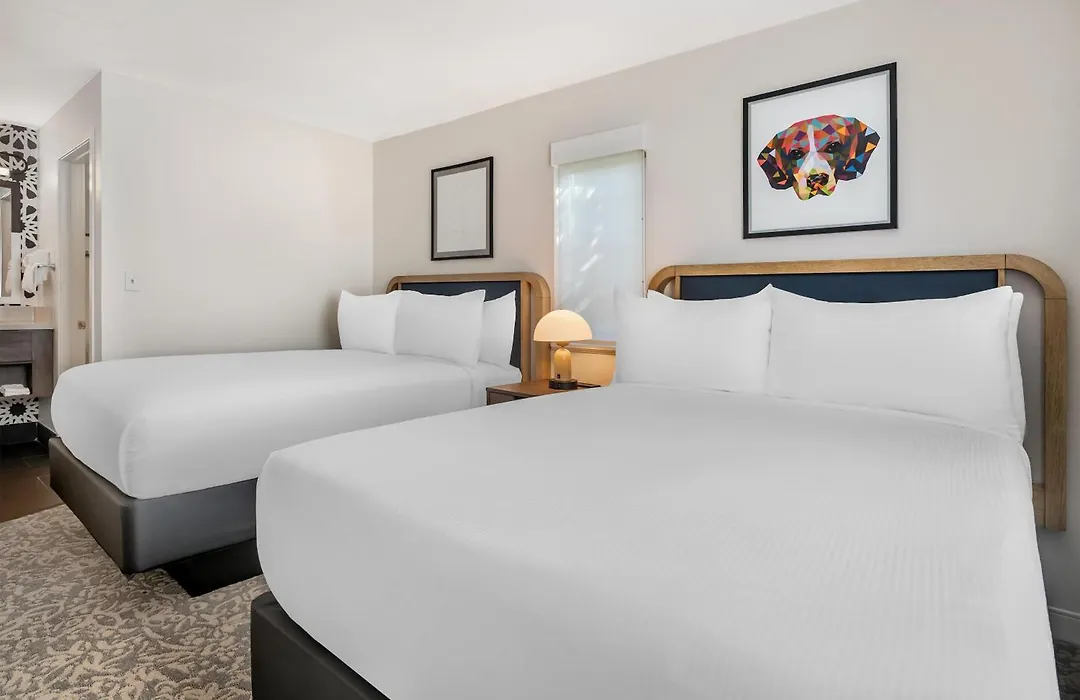 Sonesta Es Suites Orlando - Lake Buena Vista-1