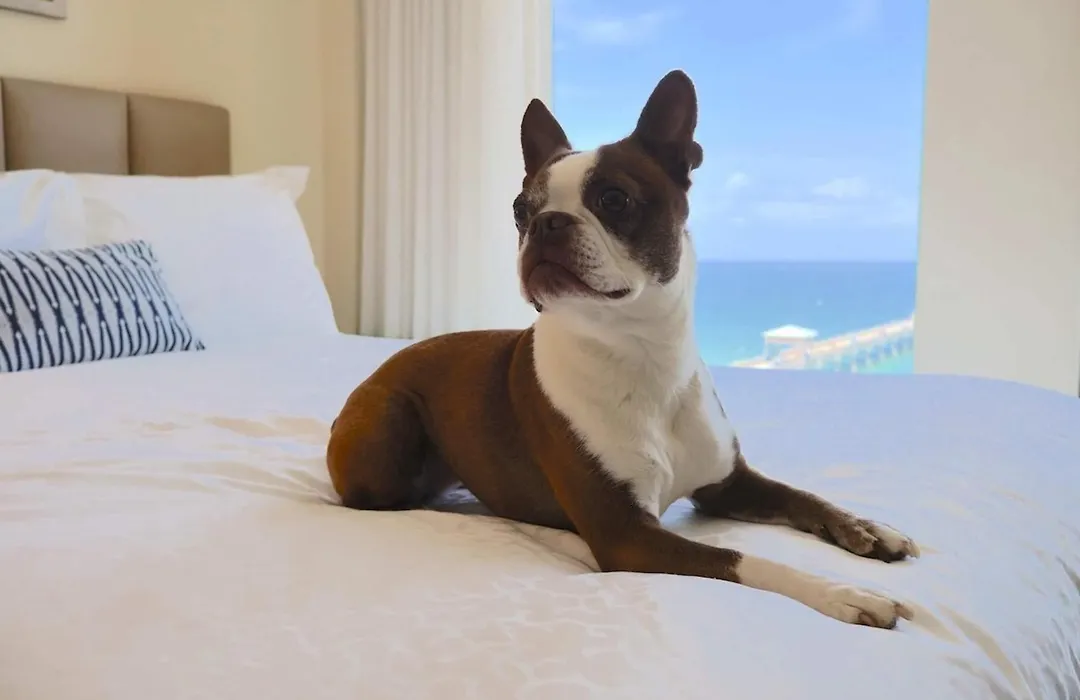 Wyndham Deerfield Beach Resort-1