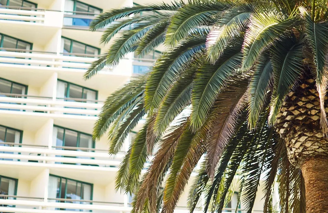 Fairmont Miramar Hotel & Bungalows-1