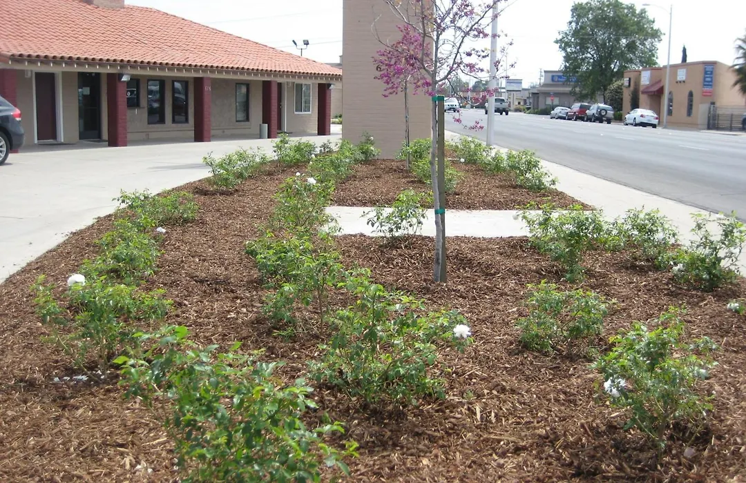 Americas Best Value Inn - Porterville-1