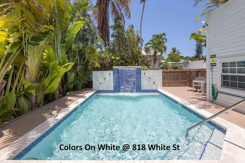Colors On White-1