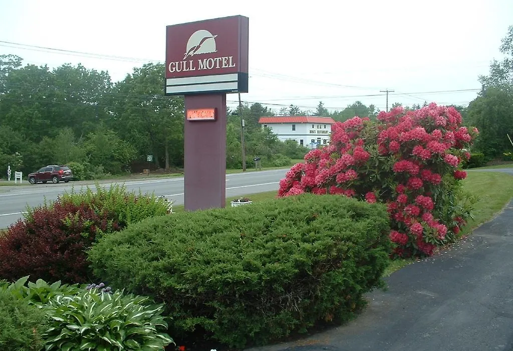 The Gull Motel, Belfast-1