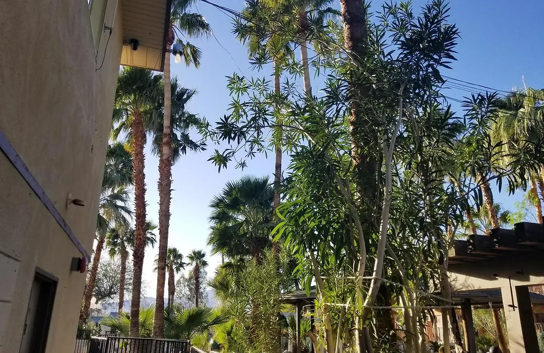 Sahara Hotel & Spa-1