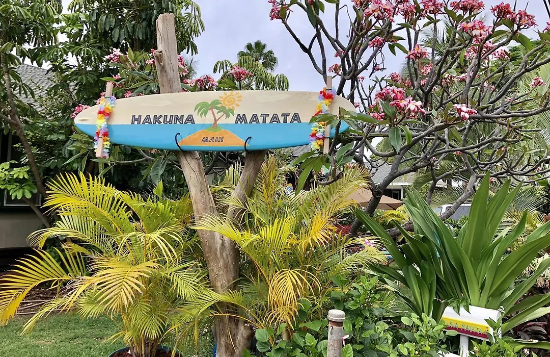 Hakuna Matata Maui Hostel-1