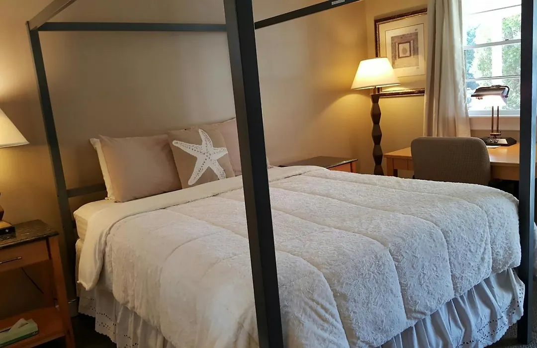 Starlight Lodge Cape Cod-1