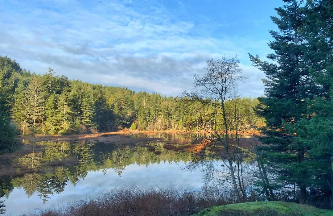 Otter'S Pond Bed And Breakfast-1