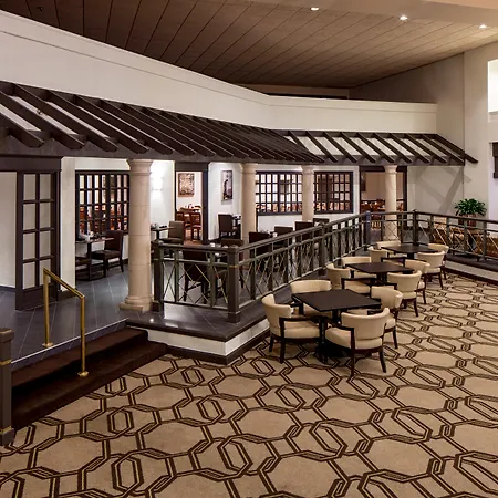 Hilton Houston Galleria Area-3