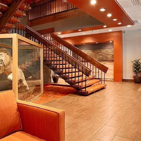 Best Western Golden Lion Hotel-2