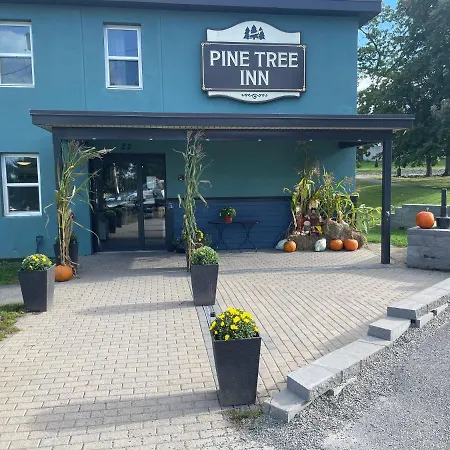 Pine Tree Inn-2