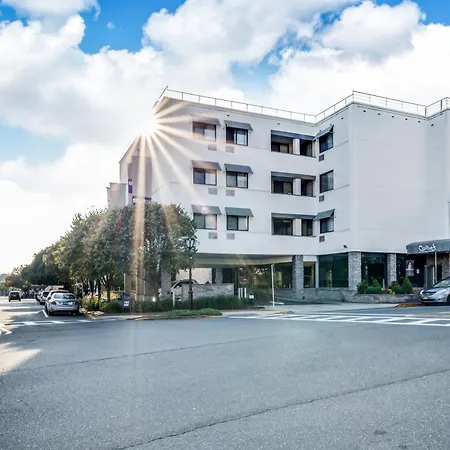 The Andrew Hotel-2