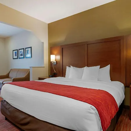 Comfort Suites Columbus Expo Center-3
