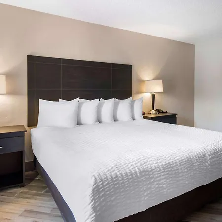 Clarion Inn & Suites Kissimmee-Lake Buena Vista South-2