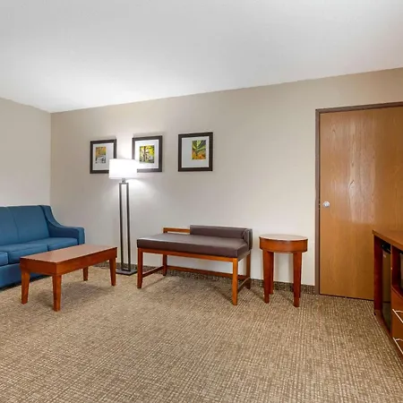 Comfort Inn Anderson South-2