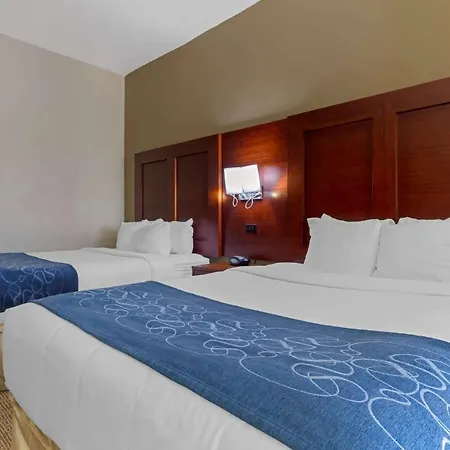 Comfort Suites Gainesville-3