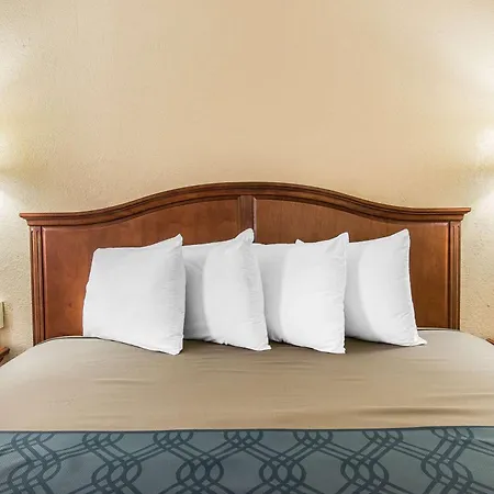 Econo Lodge Savannah Midtown-3