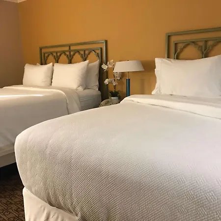 Hotel Xola Trademark Collection By Wyndham-2