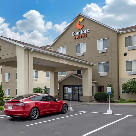 Comfort Suites Auburn Near I-69-3