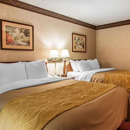 Quality Inn Midway-3