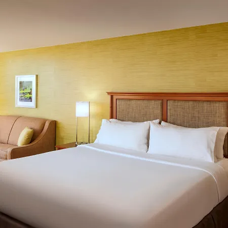 Holiday Inn Austin -Town Lake By Ihg-3