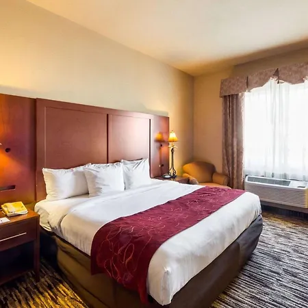 Comfort Suites Mcallen Airport And La Plaza Mall-2