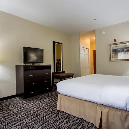 Holiday Inn Express & Suites Camden-I20-2