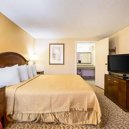 Rodeway Inn Metro Airport-2