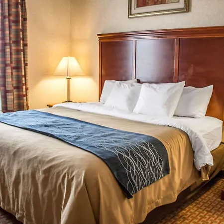 Comfort Inn & Suites Kent - University Area-2