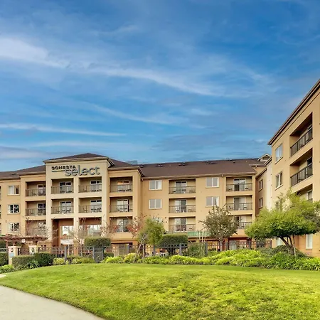 Sonesta Select San Francisco Airport Oyster Point Waterfront-3