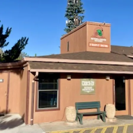 Sedona Pines Resort-2
