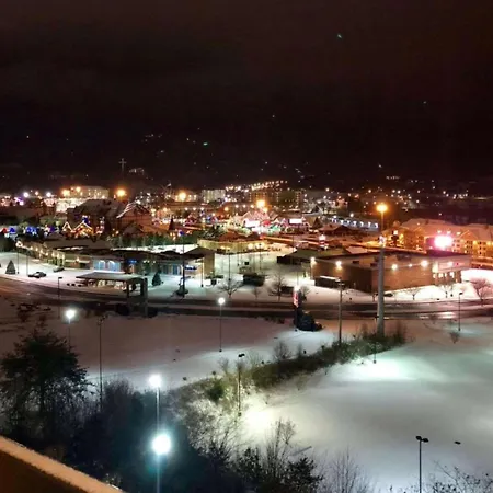 Vista Suites Near Island And Leconte Convention Center-2