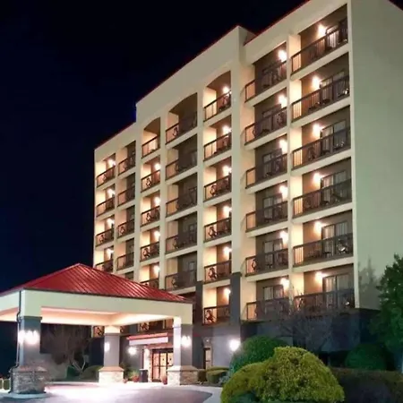 Vista Suites Near Island And Leconte Convention Center-3