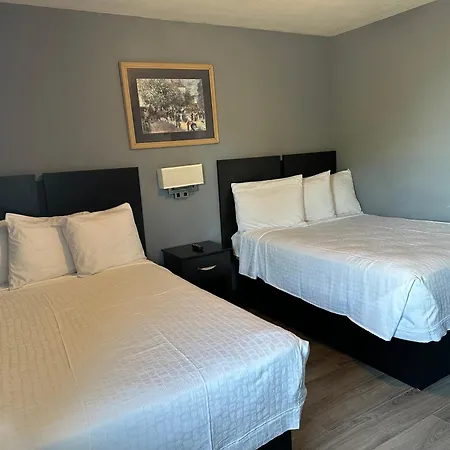 Americas Best Value Inn And Suites Groves-2