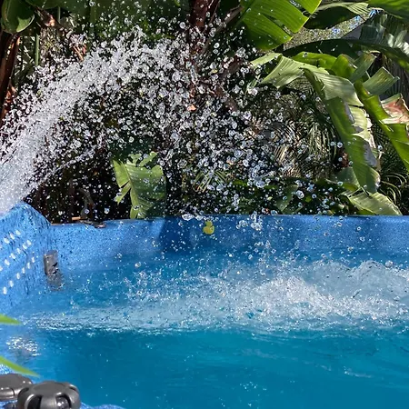 3Gulls Inn Ozona-Boutique Hotel-Steps From Restaurants & Brewery-Swimspa Pool-Pet Friendly-3