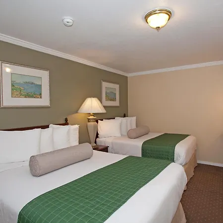 Traveler'S Inn Williams, Ca Modern Renovated Hotel-3