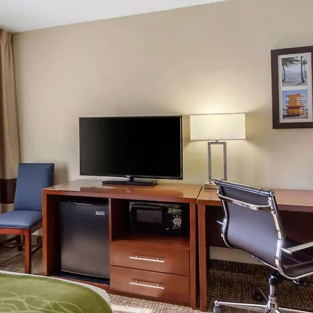 Comfort Inn St Petersburg North-2