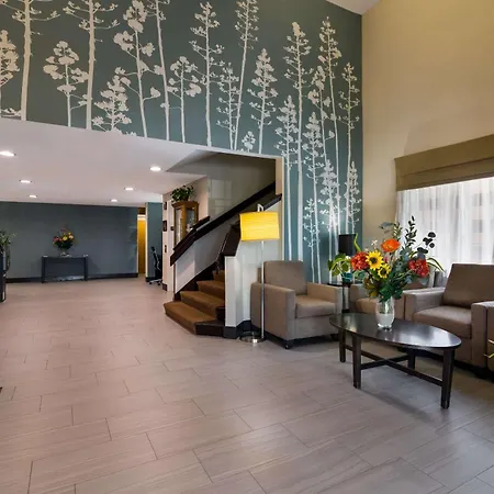 Garner Hotel Londonderry - Manchester By Ihg-2
