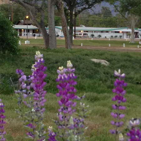 Mount-N-Lake Motel-3