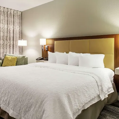 Hampton Inn Minneapolis St. Paul-Woodbury-3