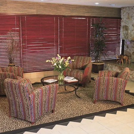 Safari Inn Burbank-Universal, A Coast Hotel-3